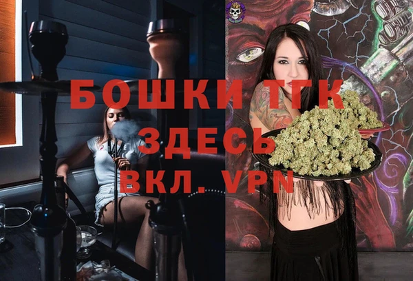 соль ск Осинники