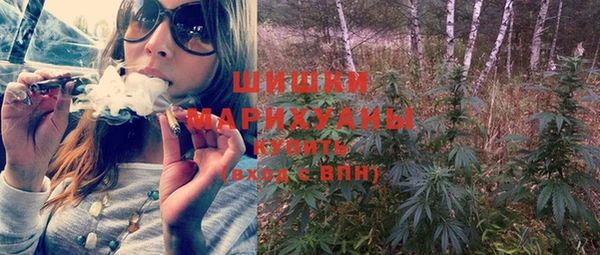 амф Пересвет