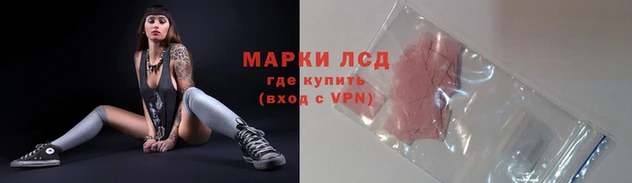 амф Пересвет
