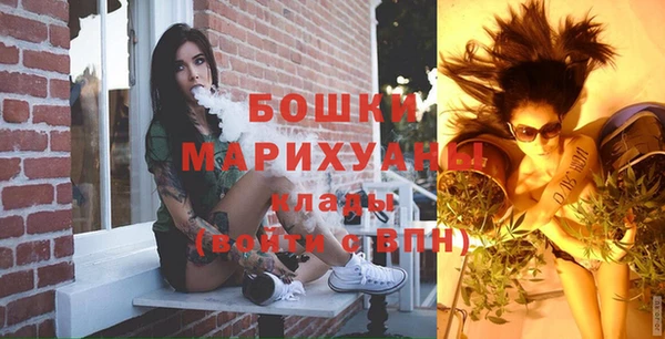 амф Пересвет