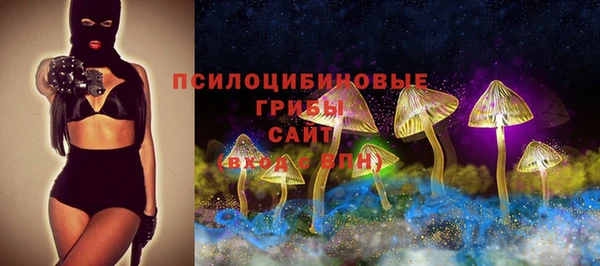амф Пересвет
