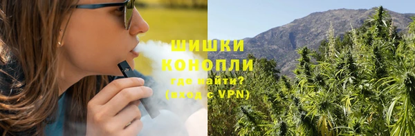 тгк Пестово