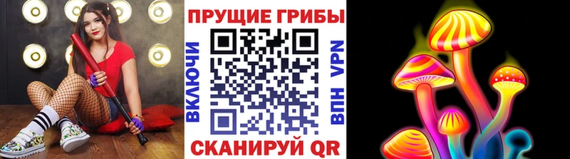 Псилоцибиновые грибы Cubensis  купить наркоту  Кинешма 