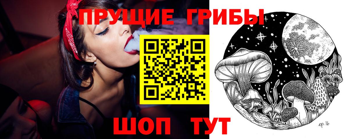 Кинешма  закладка  Вход с VPN  Галлюциногенные грибы Magic Shrooms 